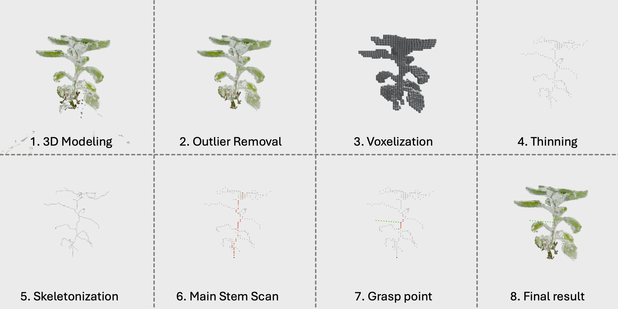 Pepper plant 1 skeletonization