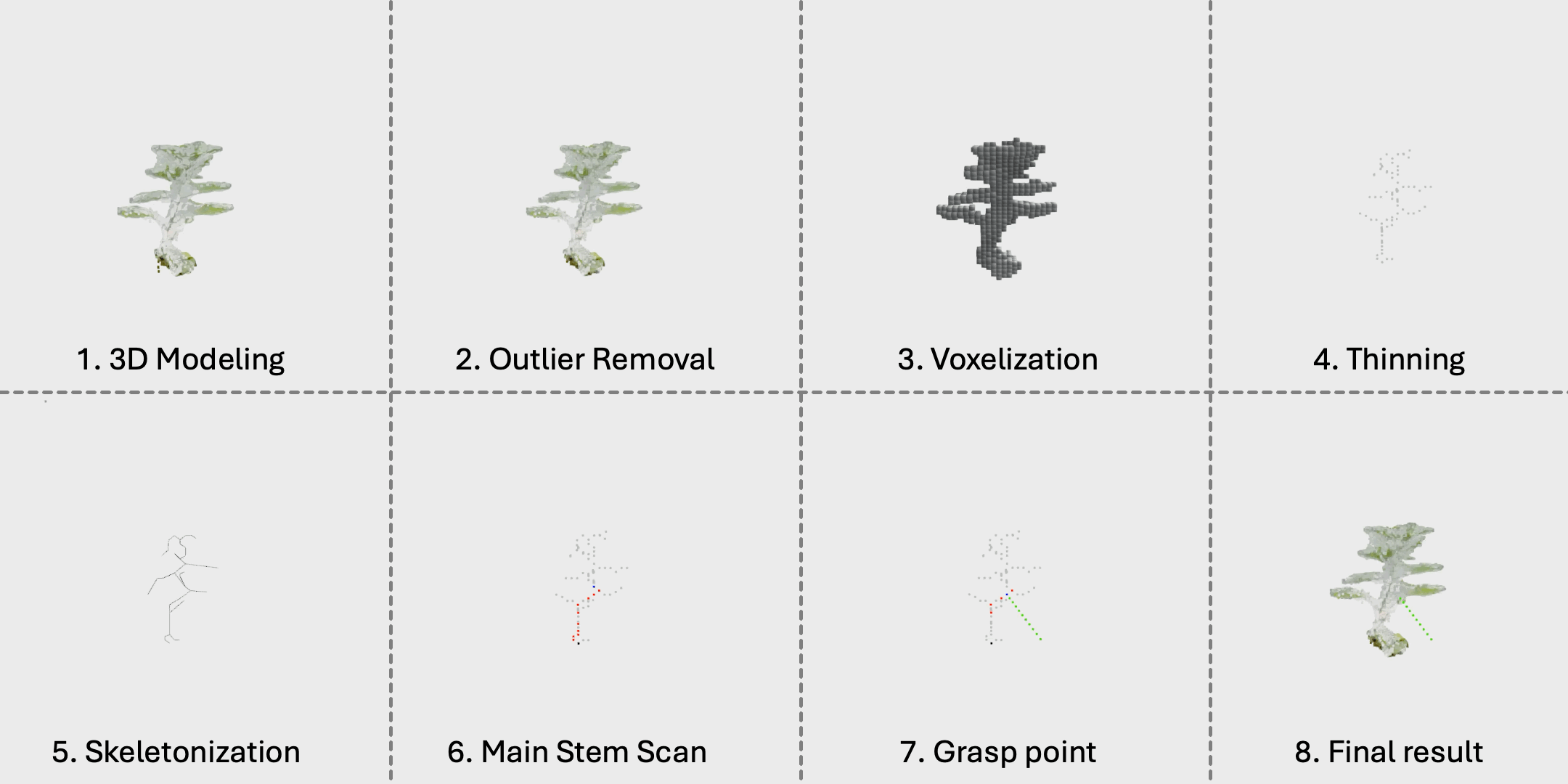 Pepper plant 2 skeletonization