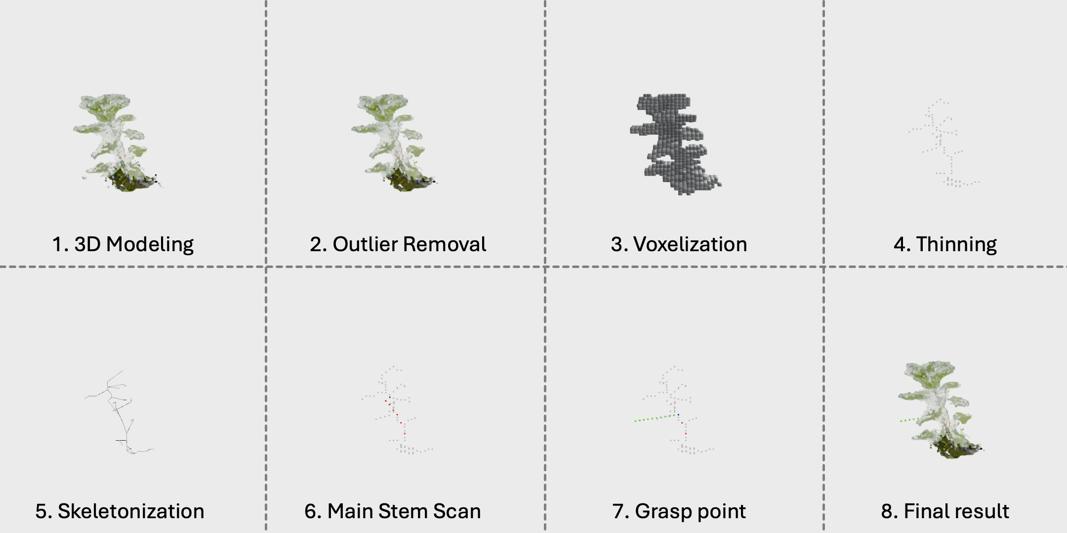 Pepper plant 9 skeletonization